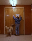 1997_-_Air_Bud_mp42799.jpg