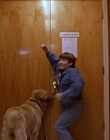 1997_-_Air_Bud_mp42800.jpg