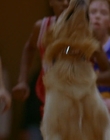 1997_-_Air_Bud_mp43025.jpg