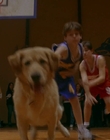 1997_-_Air_Bud_mp43051.jpg