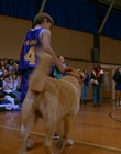 Filename=1997_-_Air_Bud_mp43085.jpg
Filesize=757KiB
Dimensions=1920x1080
Date added=Dec 29, 2023 1997_-_Air_Bud_mp43085.jpg