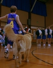 Filename=1997_-_Air_Bud_mp43086.jpg
Filesize=796KiB
Dimensions=1920x1080
Date added=Dec 29, 2023 1997_-_Air_Bud_mp43086.jpg