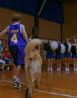 Filename=1997_-_Air_Bud_mp43087.jpg
Filesize=778KiB
Dimensions=1920x1080
Date added=Dec 29, 2023 1997_-_Air_Bud_mp43087.jpg