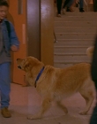 Filename=1997_-_Air_Bud_mp43107.jpg
Filesize=582KiB
Dimensions=1920x1080
Date added=Dec 29, 2023 1997_-_Air_Bud_mp43107.jpg
