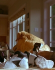 Filename=1997_-_Air_Bud_mp43199.jpg
Filesize=881KiB
Dimensions=1920x1080
Date added=Dec 29, 2023 1997_-_Air_Bud_mp43199.jpg