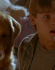 Filename=1997_-_Air_Bud_mp43211.jpg
Filesize=853KiB
Dimensions=1920x1080
Date added=Dec 29, 2023 1997_-_Air_Bud_mp43211.jpg