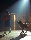 1997_-_Air_Bud_mp43375.jpg