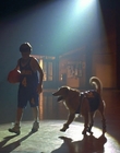 1997_-_Air_Bud_mp43376.jpg