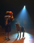 1997_-_Air_Bud_mp43392.jpg