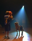 1997_-_Air_Bud_mp43393.jpg