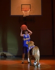 1997_-_Air_Bud_mp43408.jpg