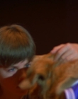 1997_-_Air_Bud_mp43414.jpg