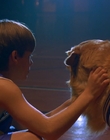 1997_-_Air_Bud_mp43426.jpg