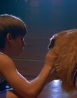 1997_-_Air_Bud_mp43427.jpg