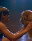 1997_-_Air_Bud_mp43428.jpg