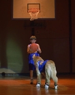 1997_-_Air_Bud_mp43430.jpg