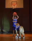 1997_-_Air_Bud_mp43431.jpg
