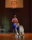 1997_-_Air_Bud_mp43432.jpg