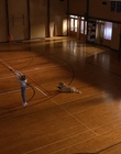 1997_-_Air_Bud_mp43567.jpg