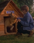 1997_-_Air_Bud_mp43663.jpg