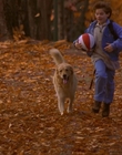 1997_-_Air_Bud_mp43687.jpg