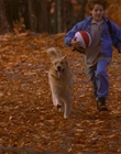 1997_-_Air_Bud_mp43688.jpg