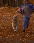 1997_-_Air_Bud_mp43689.jpg