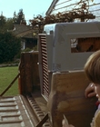 1997_-_Air_Bud_mp43834.jpg