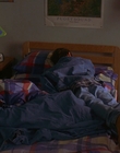1997_-_Air_Bud_mp43859.jpg