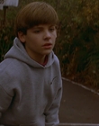 1997_-_Air_Bud_mp43890.jpg