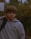 1997_-_Air_Bud_mp43892.jpg