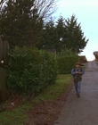 1997_-_Air_Bud_mp43961.jpg