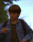 1997_-_Air_Bud_mp43965.jpg
