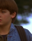 1997_-_Air_Bud_mp43975.jpg