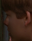 1997_-_Air_Bud_mp43981.jpg