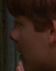 1997_-_Air_Bud_mp43984.jpg