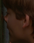 1997_-_Air_Bud_mp43985.jpg