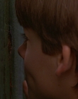 1997_-_Air_Bud_mp43992.jpg