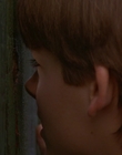 1997_-_Air_Bud_mp43993.jpg
