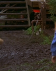 1997_-_Air_Bud_mp44015.jpg