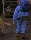 1997_-_Air_Bud_mp44016.jpg