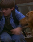 1997_-_Air_Bud_mp44028.jpg