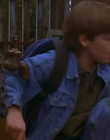 1997_-_Air_Bud_mp44041.jpg