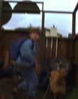 1997_-_Air_Bud_mp44053.jpg
