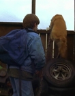 1997_-_Air_Bud_mp44054.jpg