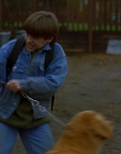 1997_-_Air_Bud_mp44070.jpg