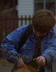 1997_-_Air_Bud_mp44078.jpg