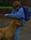 1997_-_Air_Bud_mp44080.jpg