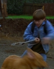 1997_-_Air_Bud_mp44081.jpg