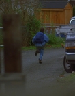 1997_-_Air_Bud_mp44089.jpg